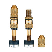 Quick Fill Schrader Tubeless Valve Set — Bronze
