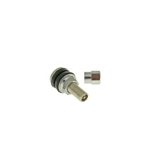 Tyre valve tubeless straight short metal — Short, silver