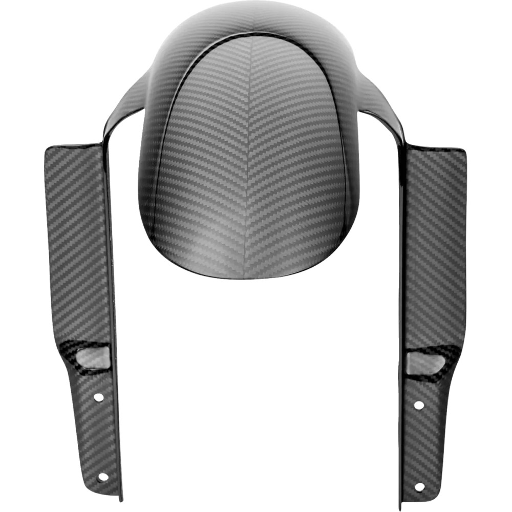 Carbon Fiber Front Fender — Front, Black, Gloss