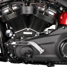 Palanca de cambio más corta — 25 mm (1"), 20.83 cm, Cromo