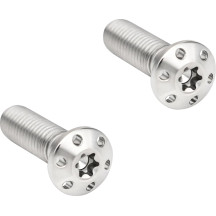 Brake Caliper Mounting Bolts — 10 mm x 1.5 mm x 35 mm, Titanium, Polished