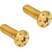 Brake Caliper Mounting Bolts — 10 mm x 1.5 mm x 35 mm, Gold