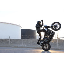 Cubiq™ Brake Rotor — 299 mm, Full-Floating, Black/Chrome