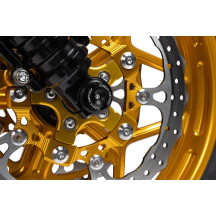Brake Rotor Mount — Gold, Arlen Ness Wheel