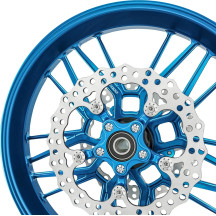 Spider Rotor — 300 mm, Blue, Chrome