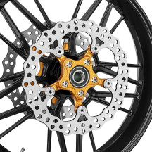 Spider Rotor — 300 mm (11.8 in), Chrome, Gold