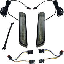 LED Front Fork Lightz™ — 12V, Pair, Black, Smoke