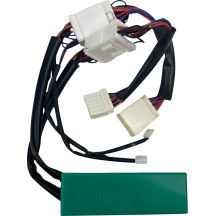 Smart Triple Play® Signal Conversion Module — 12 V
