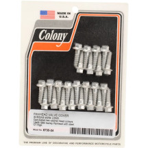 Valve Cover Screw Kit — Cadmium plated silver