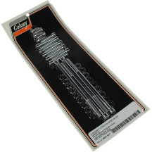 Primary Cover Bolt Kit — Chrome, Polished