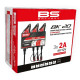 SMART Bank Battery Charger and Maintainer with Reconditioning Function — 3-bank, up to 40 Ah