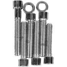 Cam Cover Bolt Kit — Chrome, Silver