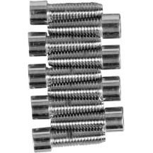 Kicker Cover Bolt Set — Chrome, Silver