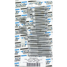 Cam/Primary/Transmission Cover Bolt Set — Chrome, Silver, Cam/Primary/Transmission/Inspection/Derby cover