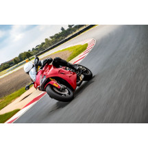 Neumático Diablo™ Rosso Corsa II — 190/55-17