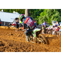 Neumático Terra Force-MX SM — 120/80-19, Trasero, con cámara