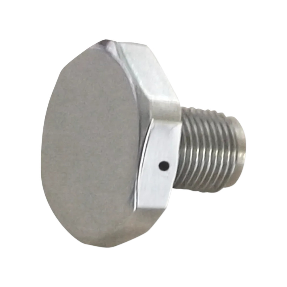 Upper Fork Tube Caps/Bolts — Chrome