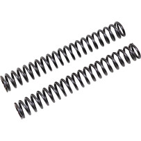 Fork Springs for FGK Cartridge Kit — 25.5 mm fork tube, 260 mm length, 10 N/mm spring rate