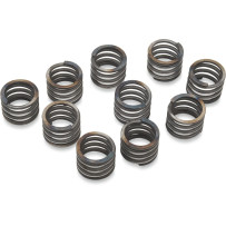 41 mm Damper Springs — 10-pack