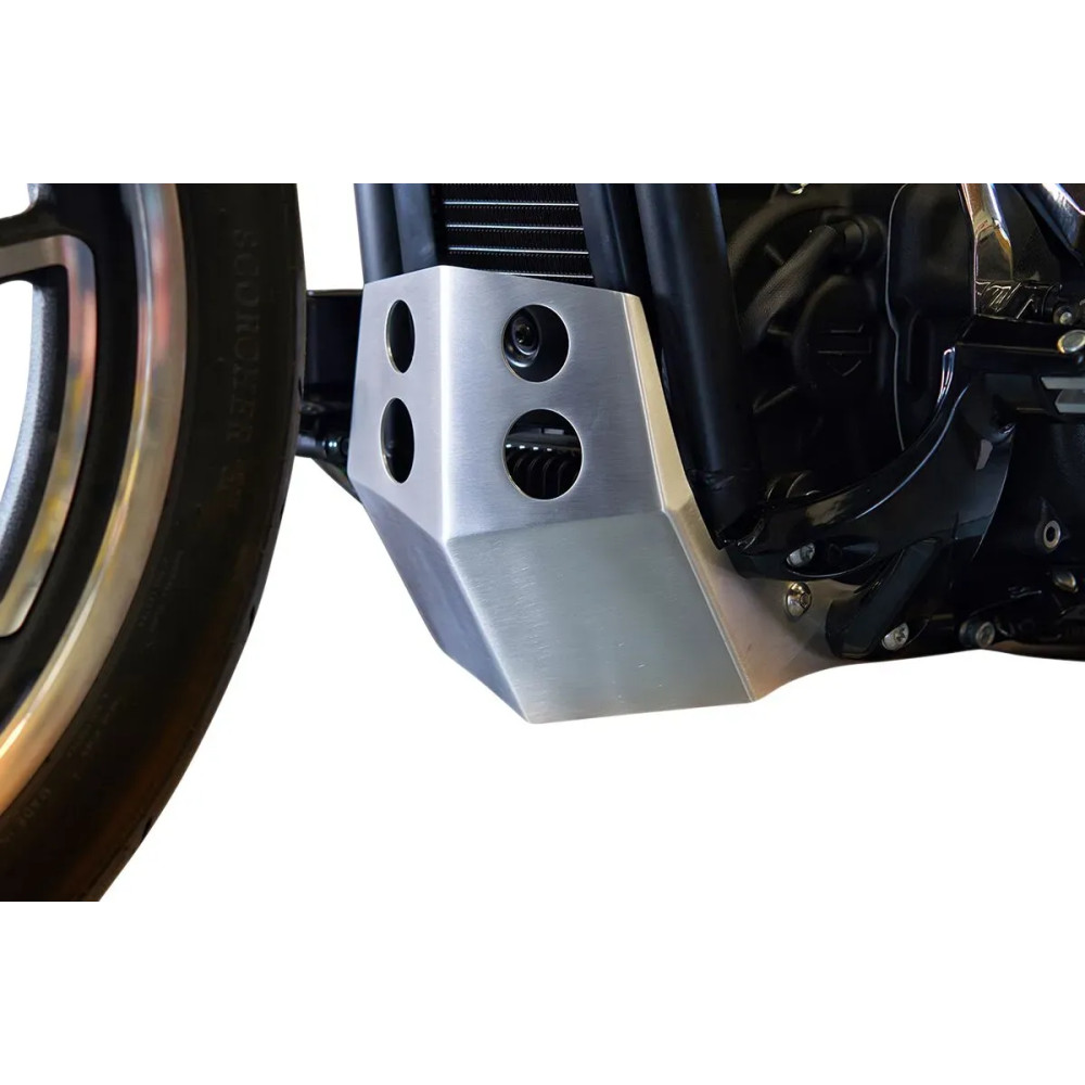 Skid Plate — Brushed aluminum