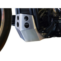 Skid Plate — Brushed silver aluminum