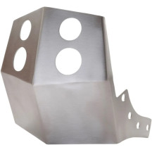 Skid Plate — Brushed silver aluminum