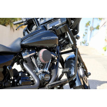 Twin Peaks Engine Guard — Chrome, for Touring bikes