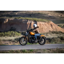 Neumático Scorcher 21 — 160/60R17, Trasero, Lateral negro