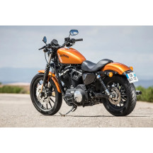 Neumático Scorcher 21 — 160/60R17, Trasero, Lateral negro