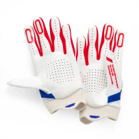 iTrack Gloves — Size S, MX, White