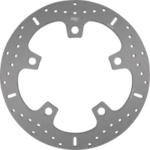 Brake Rotor — Chrome