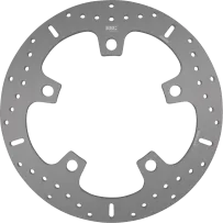 Brake Rotor — Chrome