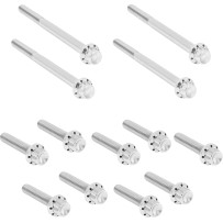 Outer Primary Cover Titanium 12-Point Bolt Kit — for FLT, Silver