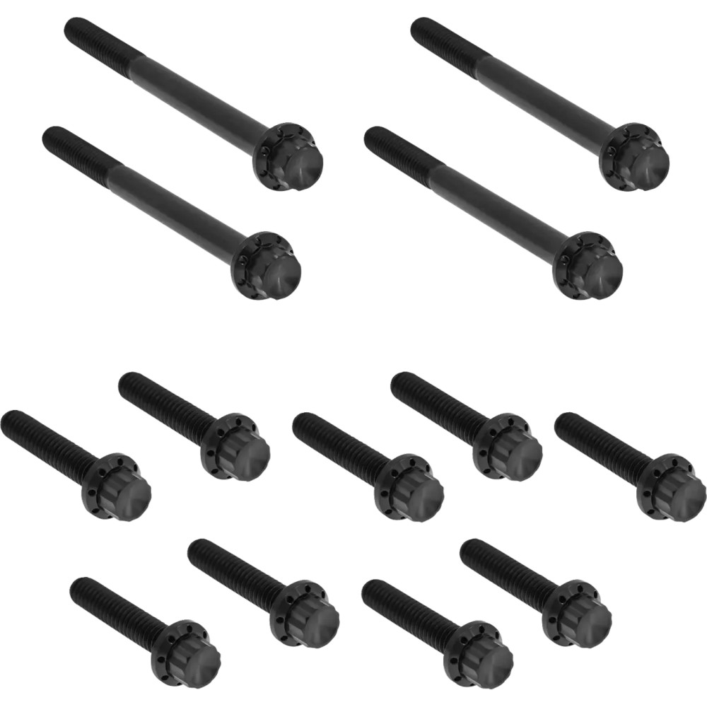 Outer Primary Cover Titanium 12-Point Bolt Kit — for FLT, Black