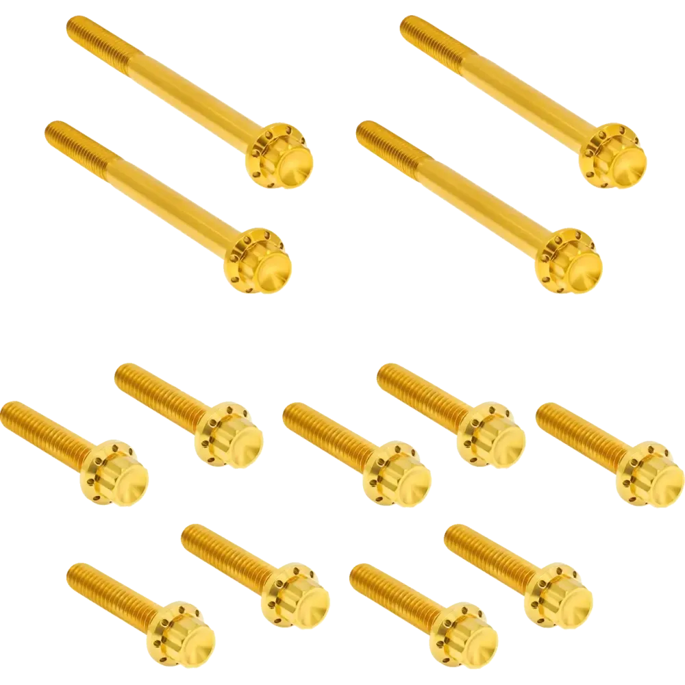 Outer Primary Cover Titanium 12-Point Bolt Kit — for FLT, Gold