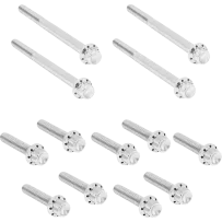 Outer Primary Cover Titanium 12-Point Bolt Kit — For Softail, Titanium, Silver Polished