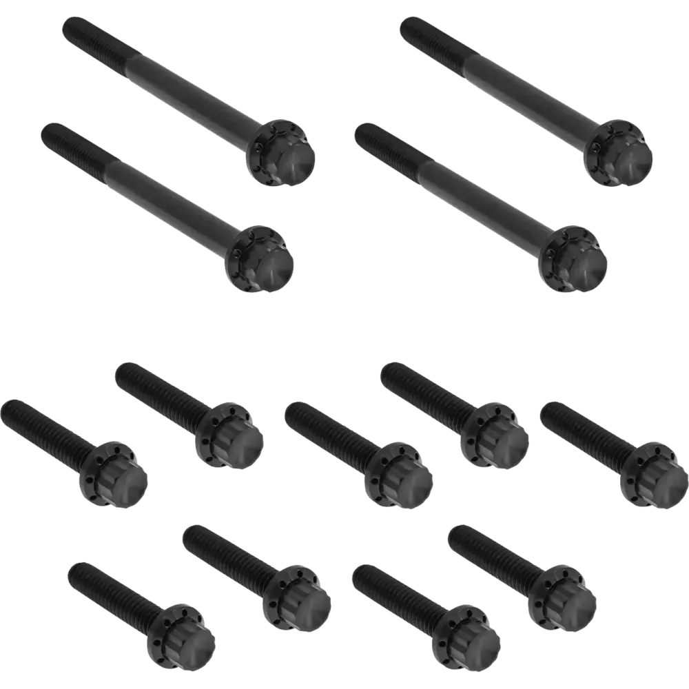 Outer Primary Cover Titanium 12-Point Bolt Kit — For Softail, Black