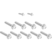 Cam Cover/Point Cover Titanium 12-Point Bolt Kit — 12-point cam & point cover fit, polished silver