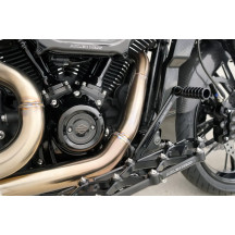 Cam Cover/Point Cover Titanium 12-Point Bolt Kit — 12-point cam & point cover fit, polished silver