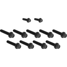 Cam Cover/Point Cover Titanium 12-Point Bolt Kit — Titanium, 12-point, Black