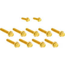 Cam Cover/Point Cover Titanium 12-Point Bolt Kit — Gold, Titanium