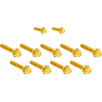 Cam Cover/Point Cover Titanium 12-Point Bolt Kit — Gold, Titanium