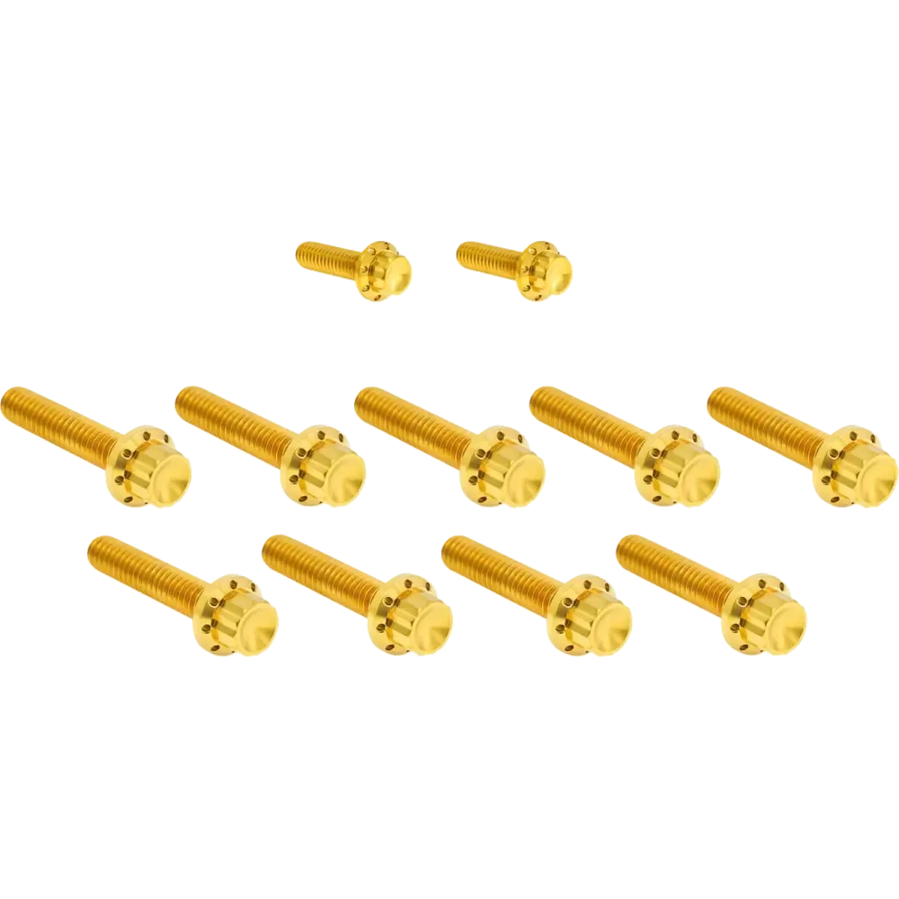Cam Cover/Point Cover Titanium 12-Point Bolt Kit — Gold, Titanium