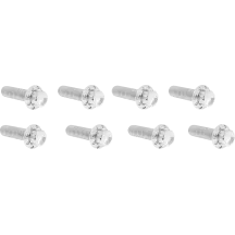 Lifter Block Titanium 12-Point Bolt Kit — Silver, Polished