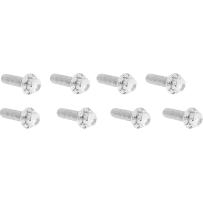 Lifter Block Titanium 12-Point Bolt Kit — Silver, Polished