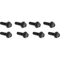 Lifter Block Titanium 12-Point Bolt Kit — Black