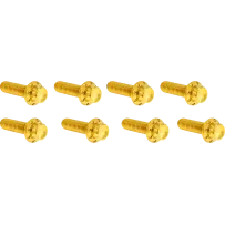 Lifter Block Titanium 12-Point Bolt Kit — Gold