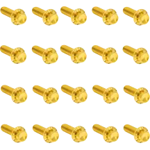 Rocker Box 12-Point Titanium Bolt Kit — Gold