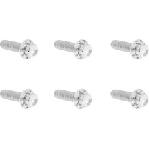 Transmission Top Cover Titanium 12-Point Bolt Kit — Polished silver