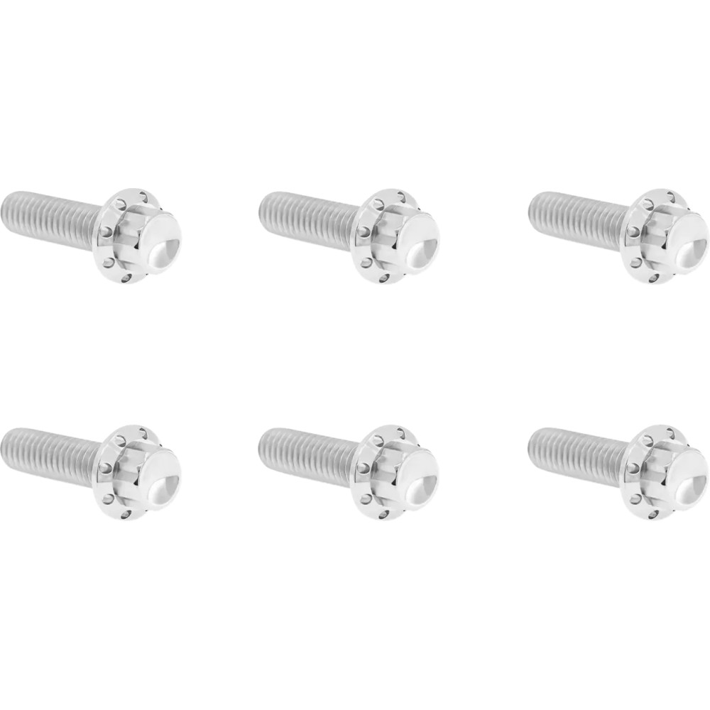 Transmission Top Cover Titanium 12-Point Bolt Kit — Polished silver